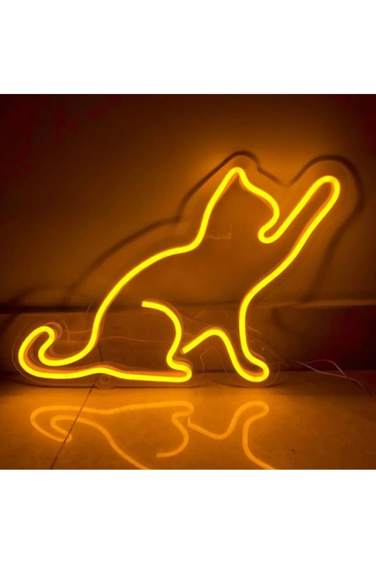 NEON LED IŞIKLI KEDİ