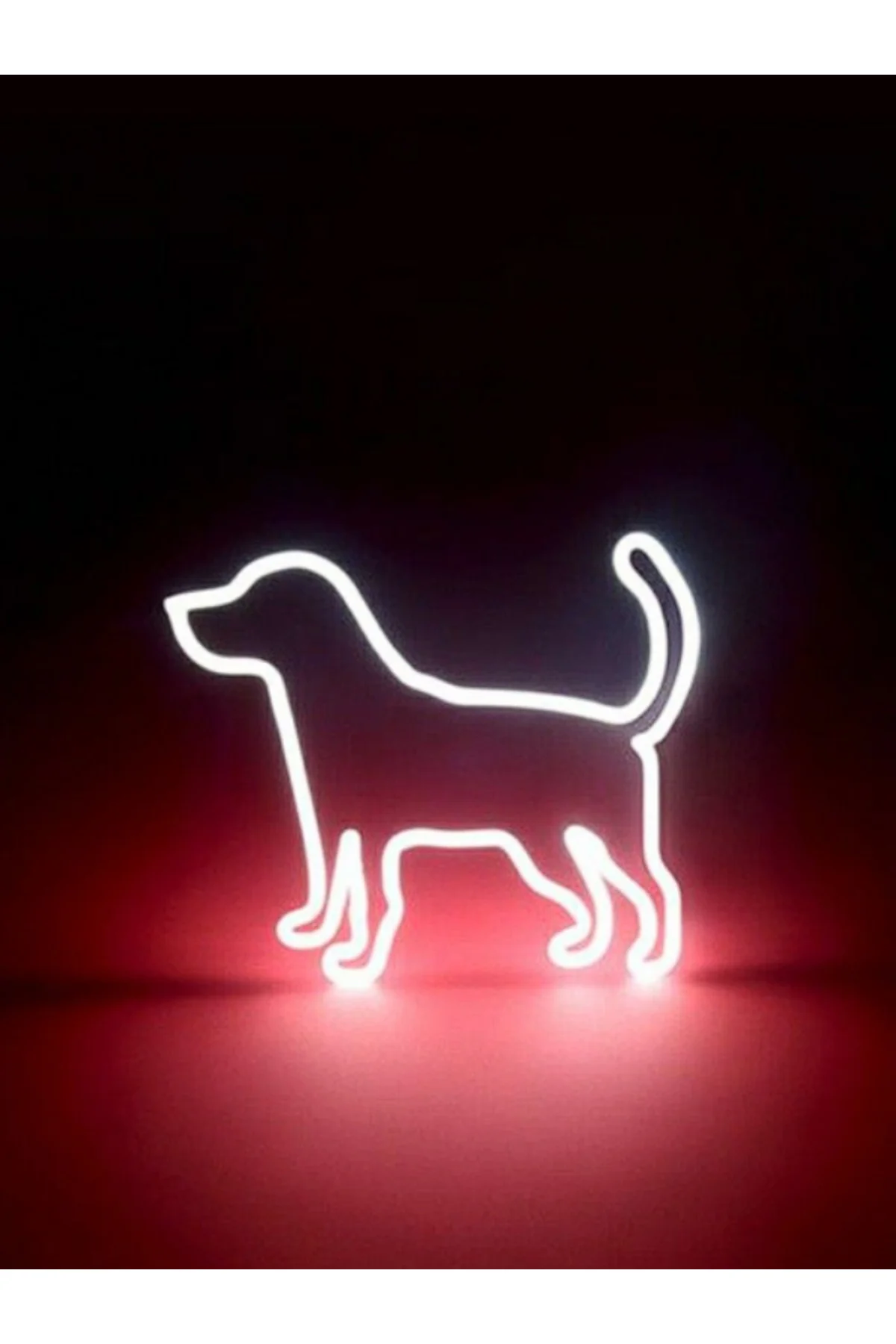 Neon Led Işıklı Köpek Duvar Dekorasyon Tablosu
