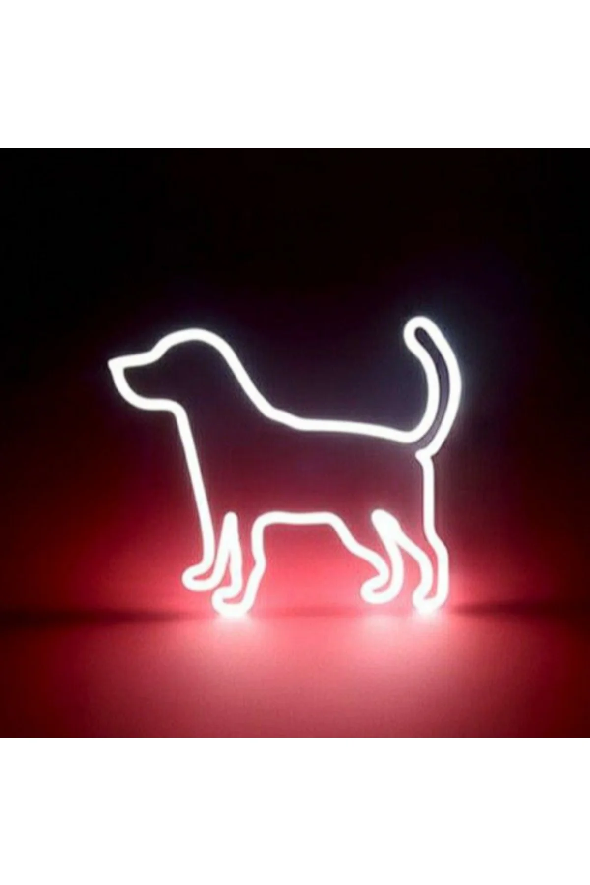 Neon Led Işıklı Köpek Duvar Dekorasyon Tablosu