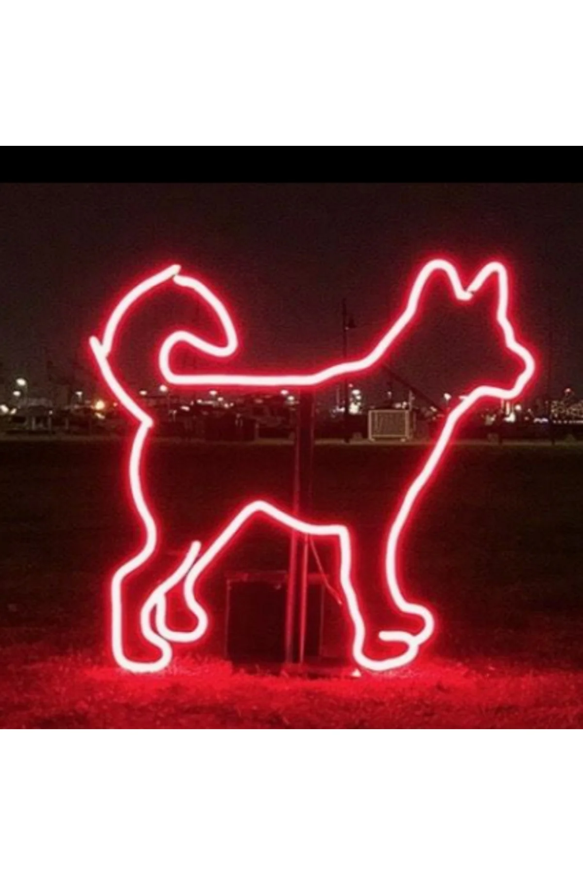 Neon Led Işıklı Köpek Duvar Dekorasyon Tablosu