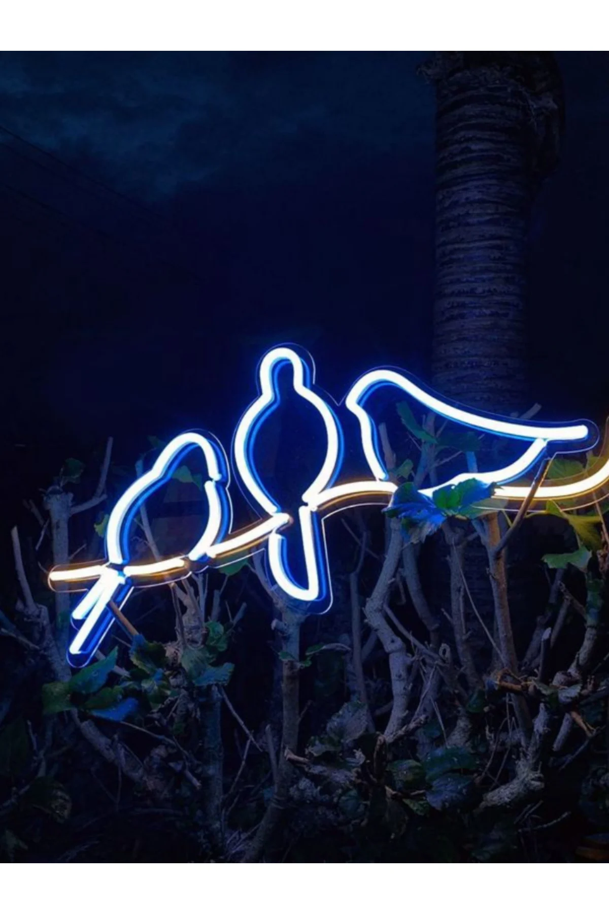 NEON LED IŞIKLI KUŞLAR