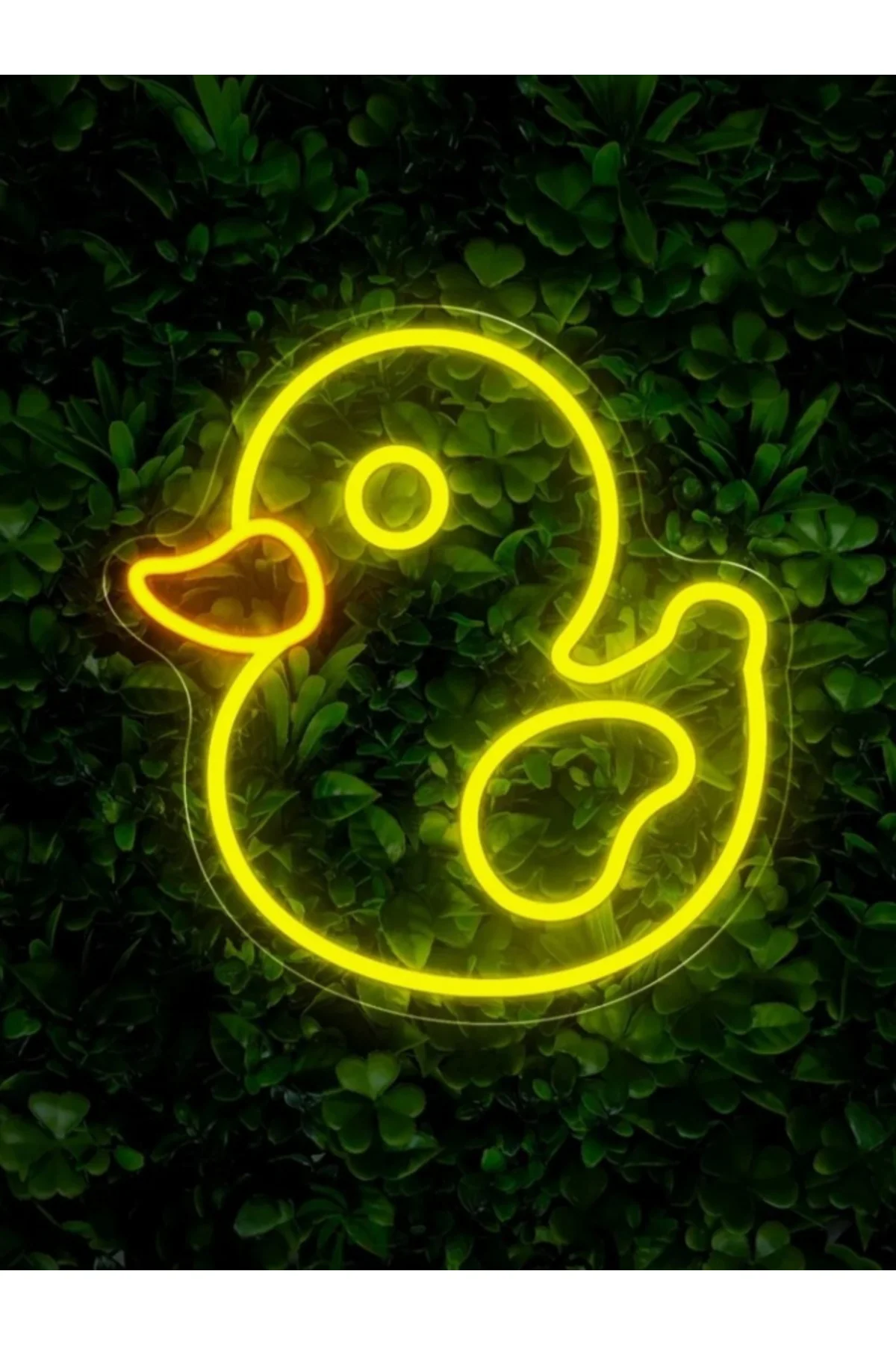NEON LED IŞIKLI ÖRDEK DUVAR TABLO