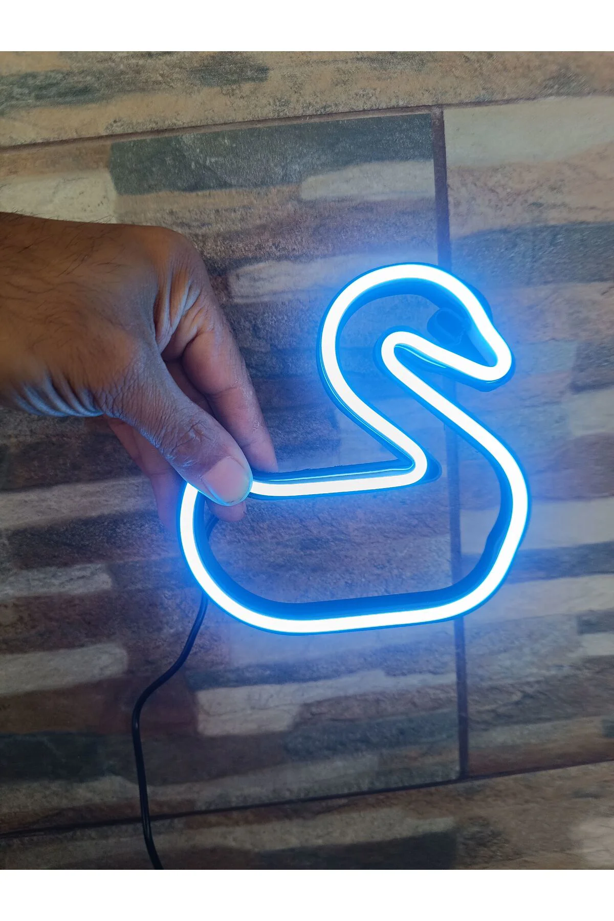 NEON LED IŞIKLI ÖRDEK