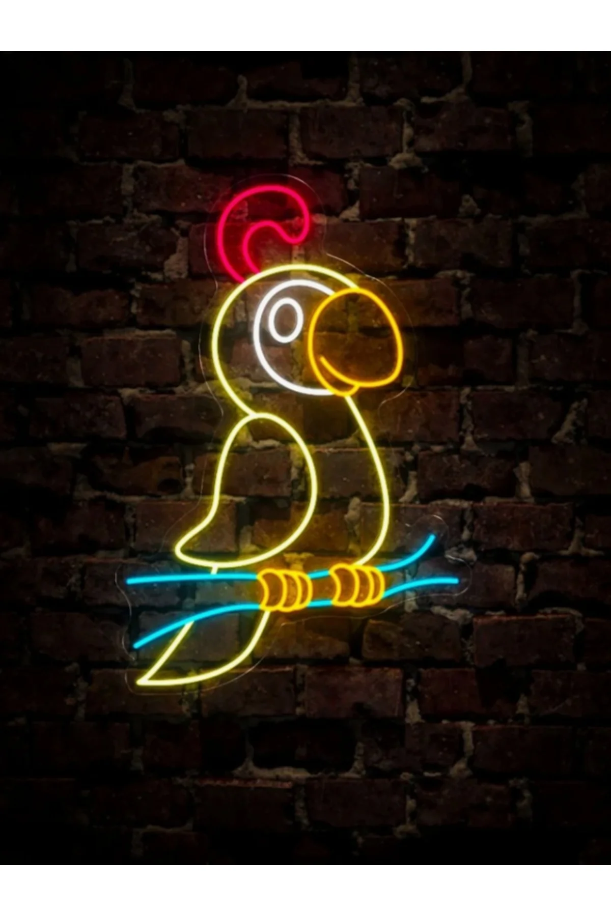 NEON LED IŞIKLI PAPAĞAN