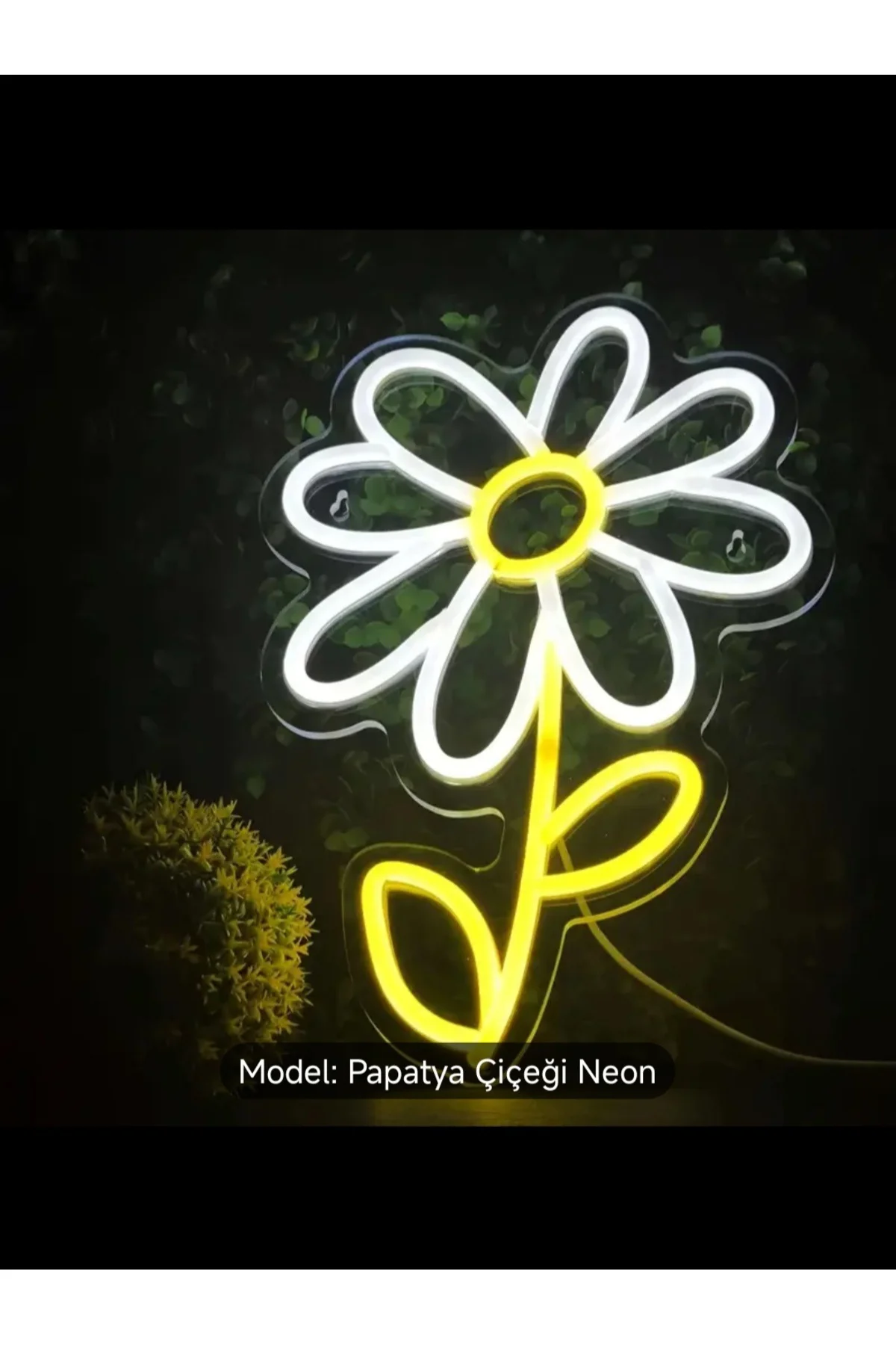 NEON LED IŞIKLI PAPATYA