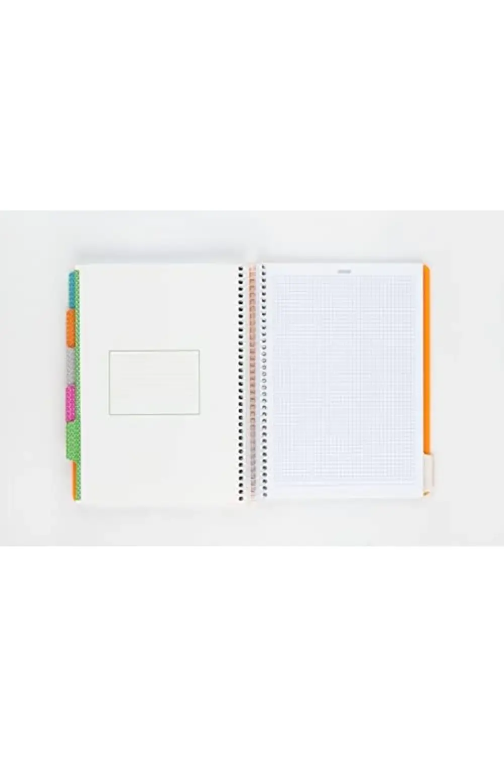 Neon Serisi, A4, 6 Konulu (3, 3 Çizgili) 180 Yaprak PP Kapaklı Sp