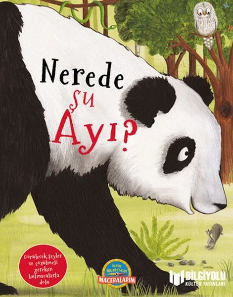 Nerede Şu Ayı ? Fiyatı, Yorumları ve Özellikleri
