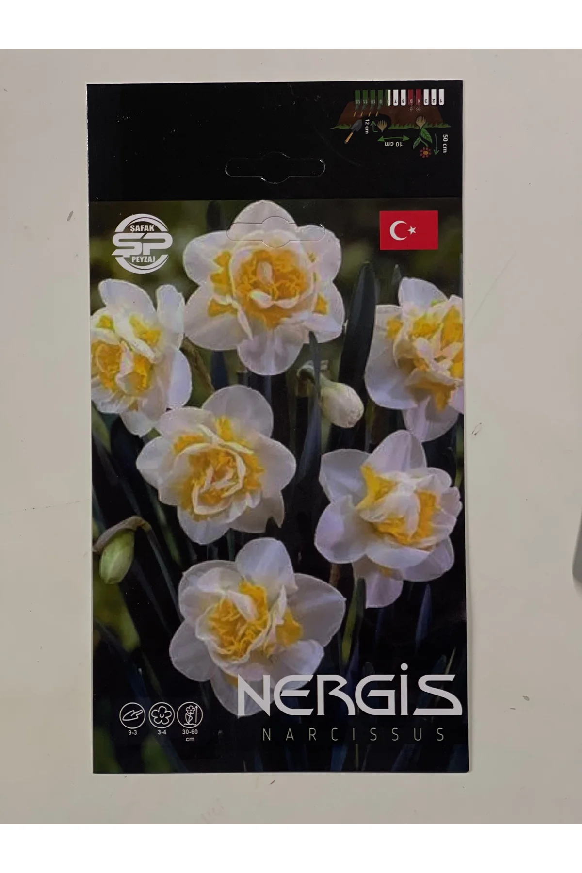 Nergis Çiçek Soğanı İthal İri Boy Duble Soğan 3 Adet