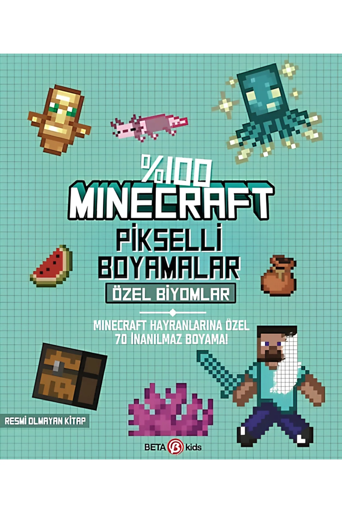 NessiWorld %100 Minecraft Pikselli Boyamalar Özel Biyomlar