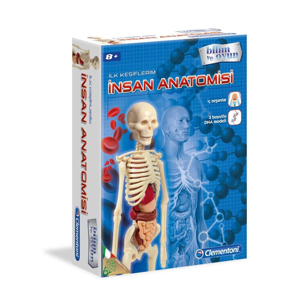 Nessiworld 64297 İnsan Anatomisi - Bilim ve Oyun +8 yaş