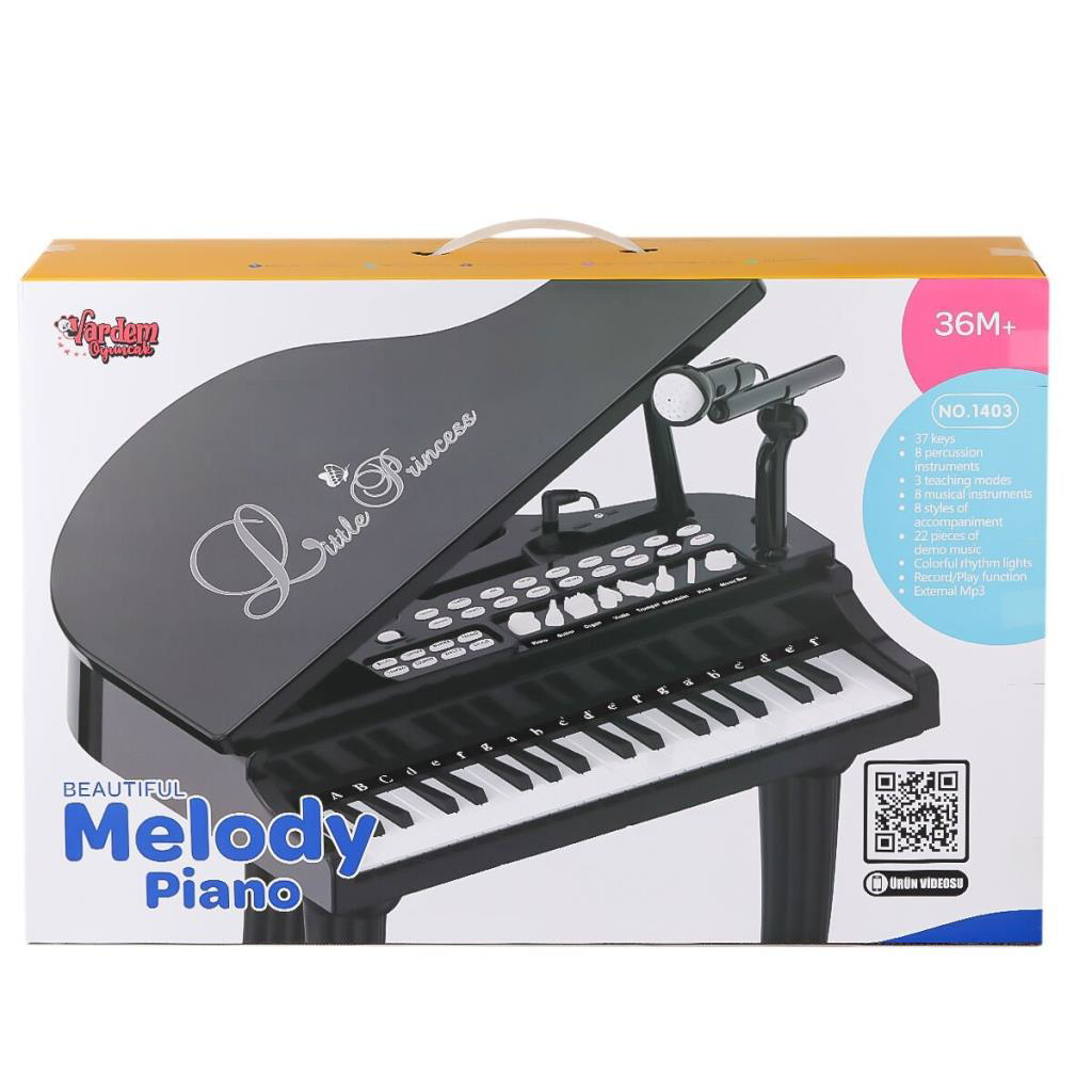 Nessiworld BAO-1403B 0237 Mikrofonlu 37 Tuşlu Mp3 Çalar Büyük Siy