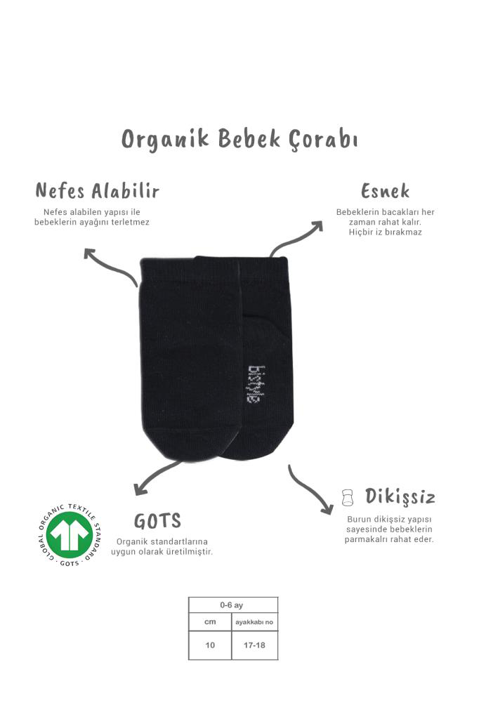 Nessiworld Bistyle 5'li Penye Soket Kutulu Basic Çorap 10131 Gri Nessiworld Bistyle 5'li Penye Soket Kutulu Basic Çorap 10131 Gri
