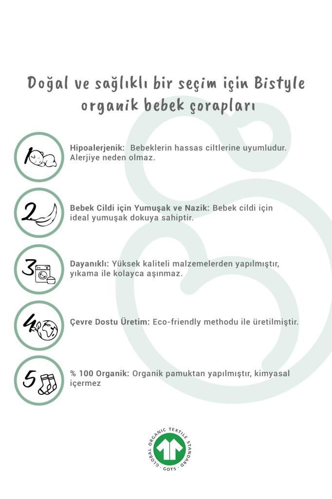 Nessiworld Bistyle 5'li Penye Soket Kutulu Basic Çorap 10131 Pudr
