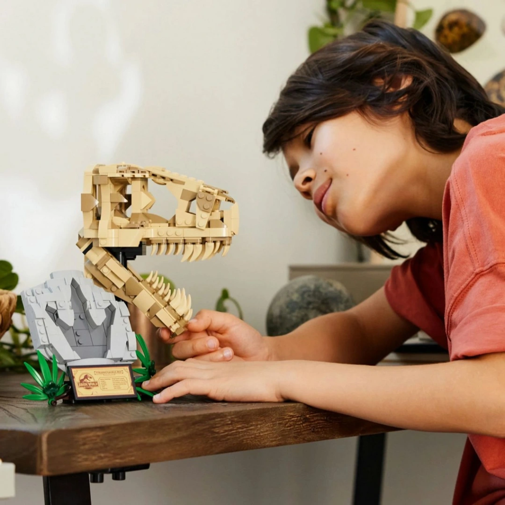 NessiWorld Dinozor Fosilleri: T. rex Kafatası 76964 NessiWorld Dinozor Fosilleri: T. rex Kafatası 76964