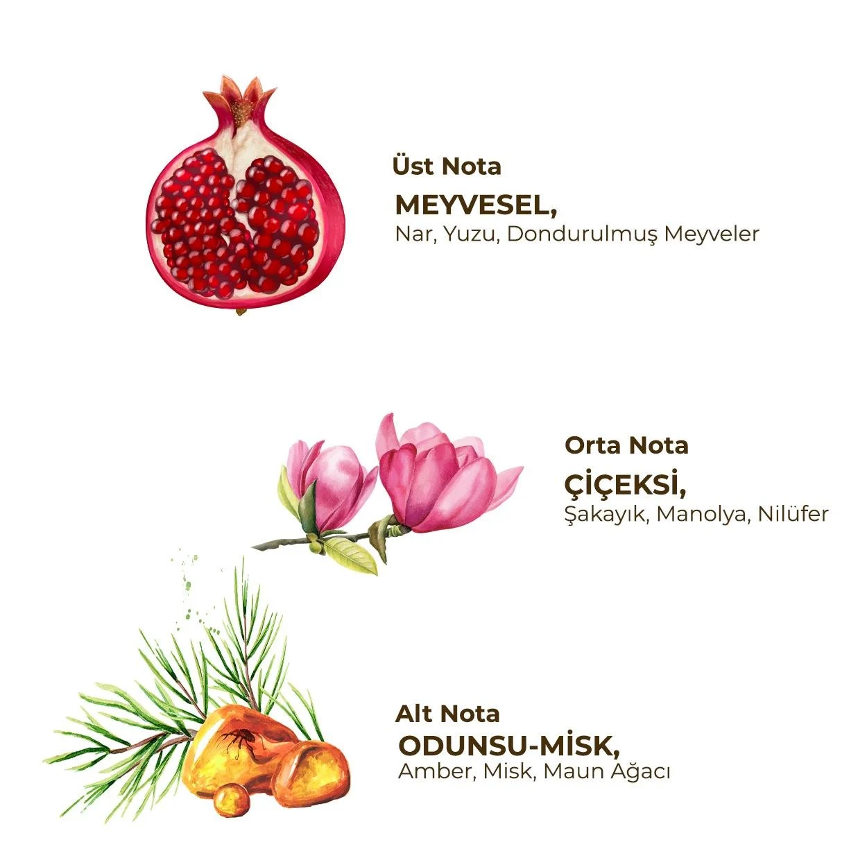 Nessiworld  Eyüp Sabri Tuncer Kadın Roll On Deodorant 75 ml Flora