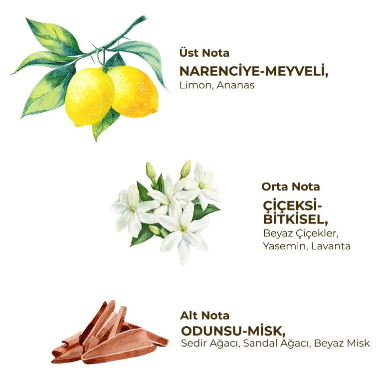 Nessiworld  Eyüp Sabri Tuncer Kadın Roll On Deodorant 75 ml Fresh