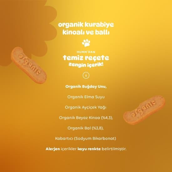 Nessiworld Humm Organik Ballı ve Kinoalı Kurabiye 55 Gr