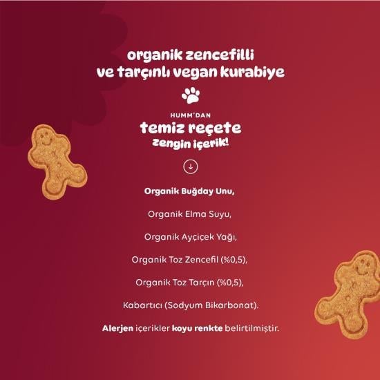 Nessiworld Humm Organik Zencefilli ve Tarçınlı Vegan Kurabiye 55 