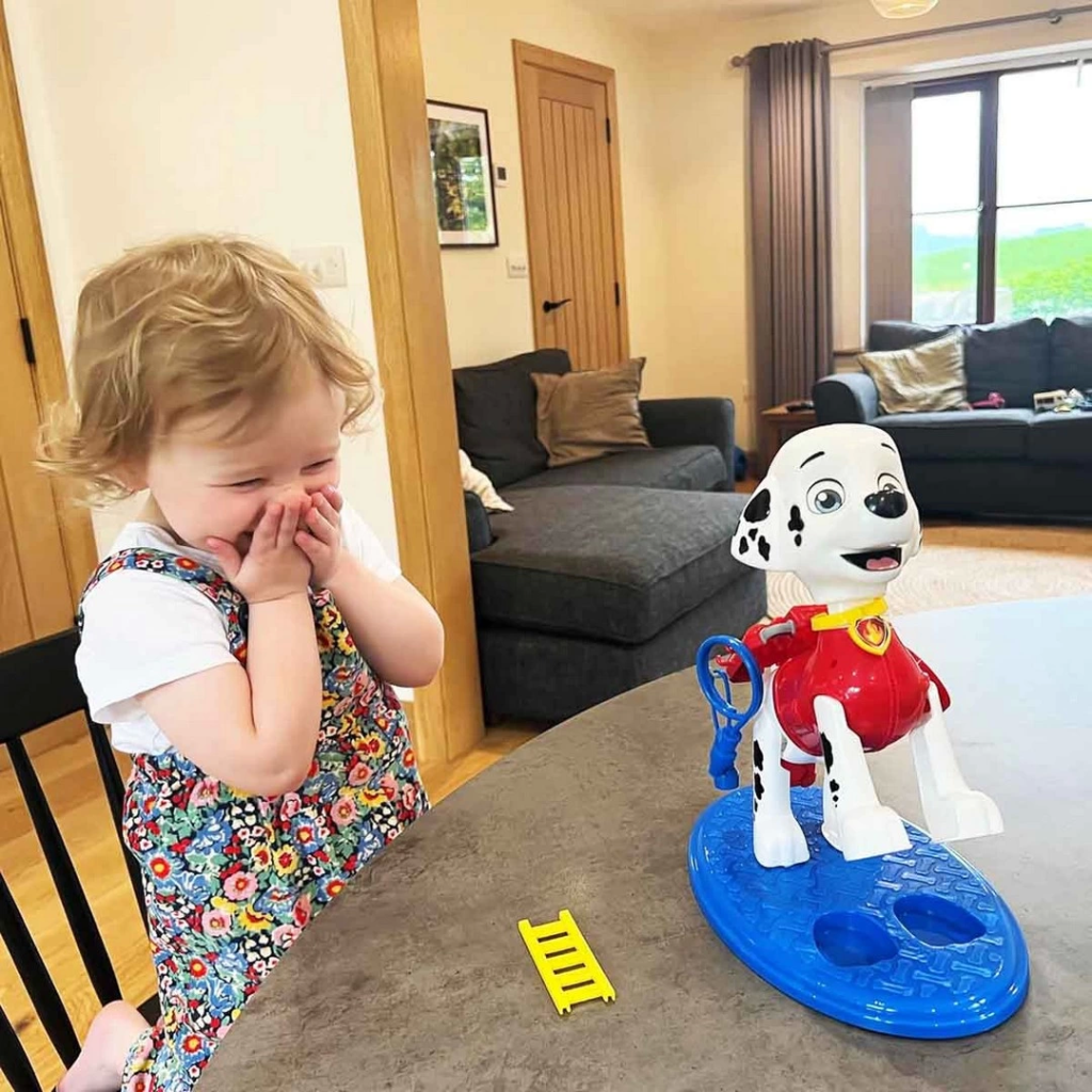 Nessiworld Paw Patrol Load Up