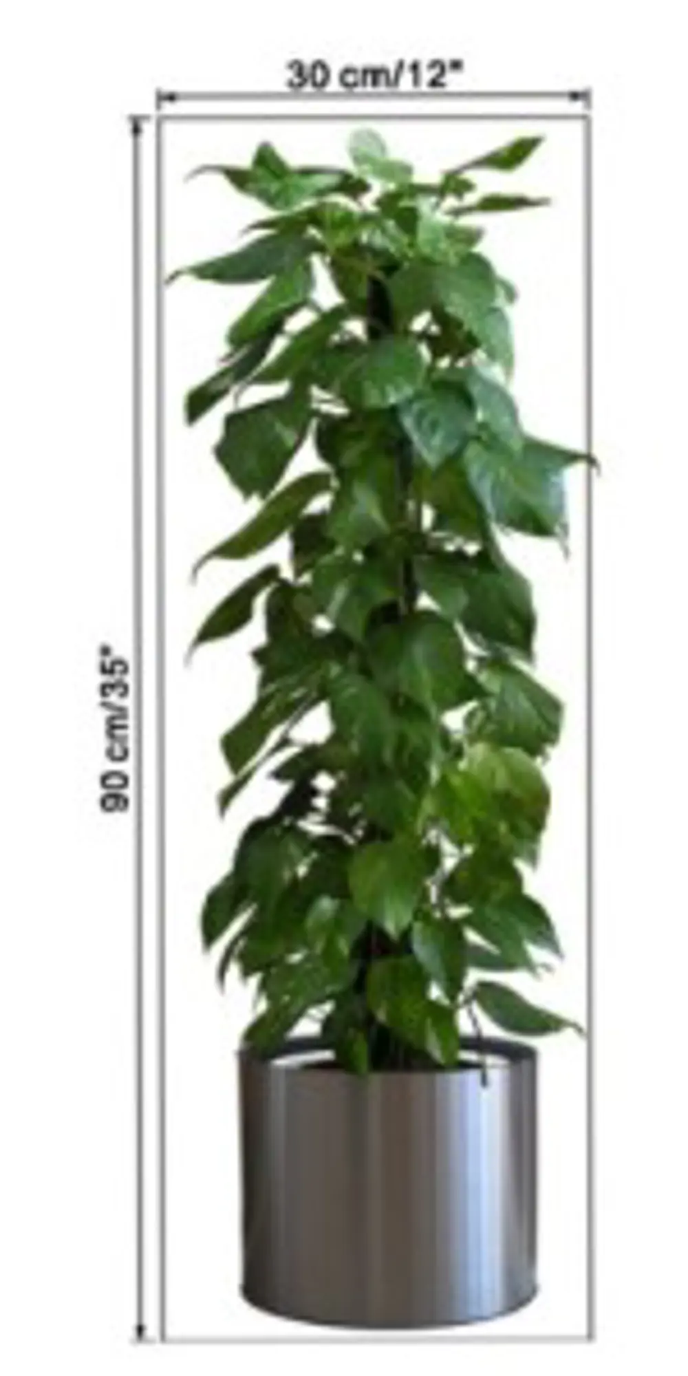 NessiWorld Saksılı Bitki Tasarımlı Yapışkanlı Sticker Resim 90*30 NessiWorld Saksılı Bitki Tasarımlı Yapışkanlı Sticker Resim 90*30