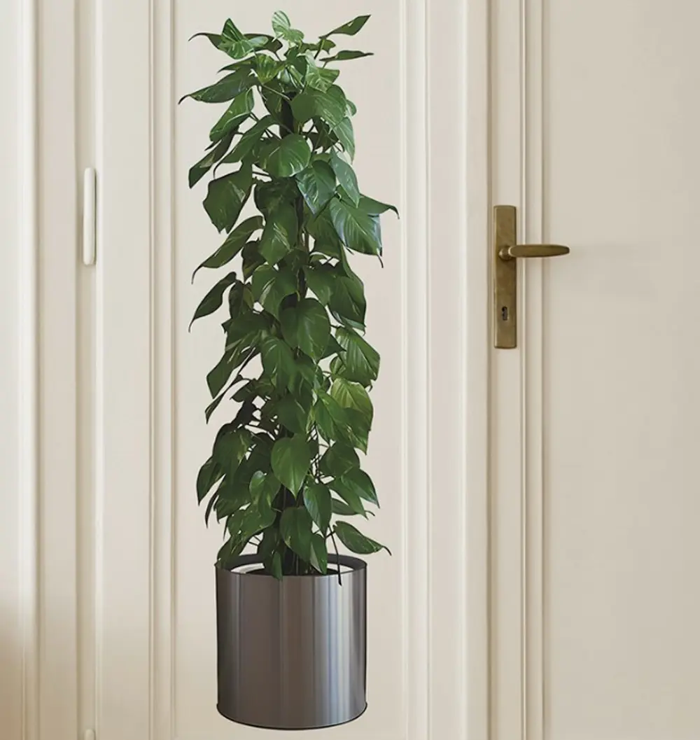 NessiWorld Saksılı Bitki Tasarımlı Yapışkanlı Sticker Resim 90*30 NessiWorld Saksılı Bitki Tasarımlı Yapışkanlı Sticker Resim 90*30