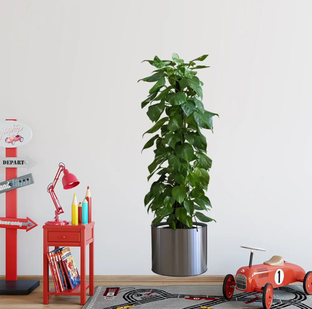 NessiWorld Saksılı Bitki Tasarımlı Yapışkanlı Sticker Resim 90*30 NessiWorld Saksılı Bitki Tasarımlı Yapışkanlı Sticker Resim 90*30