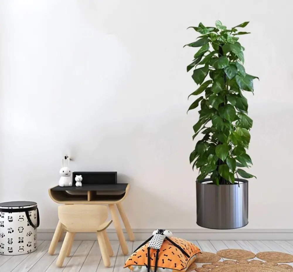 NessiWorld Saksılı Bitki Tasarımlı Yapışkanlı Sticker Resim 90*30 NessiWorld Saksılı Bitki Tasarımlı Yapışkanlı Sticker Resim 90*30