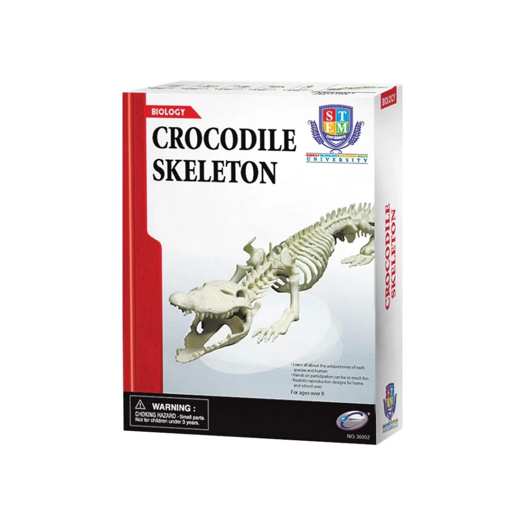 Nessiworld Timsah İskeleti Bilim Seti