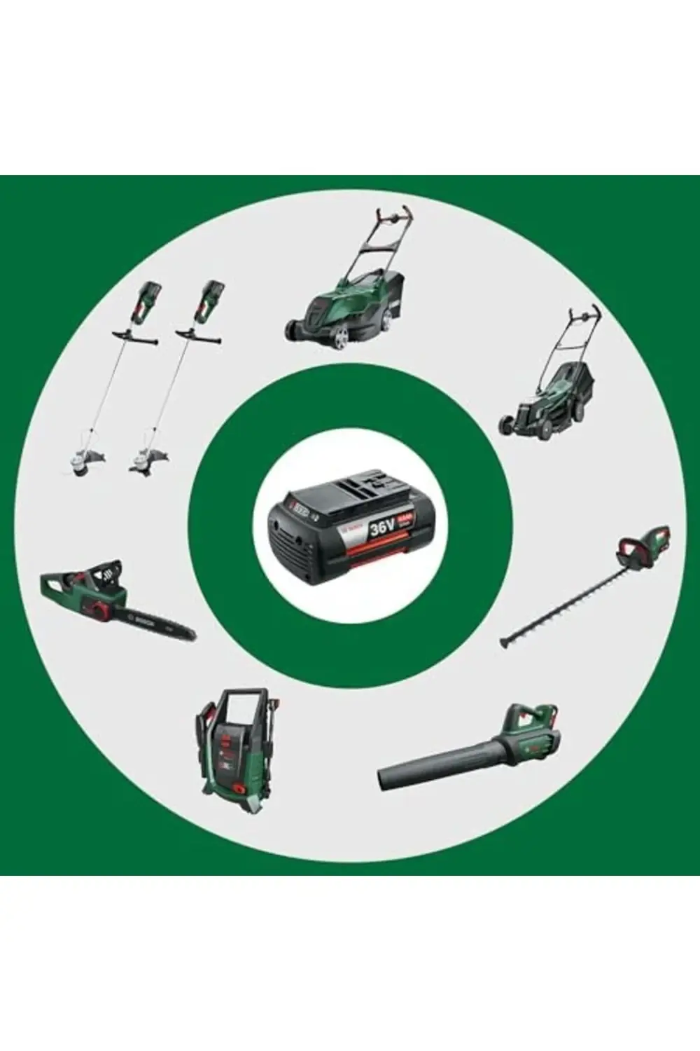 newpolyx Akü Sarj Cihazı, 36V goldglint 395519