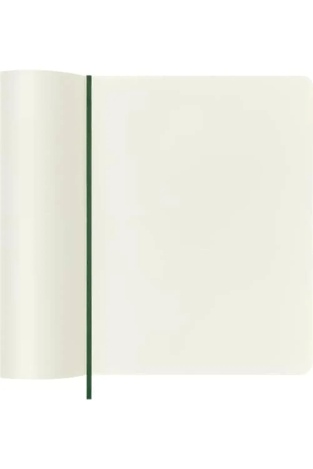 newpolyx Çizgisiz Mersin Yeşili Defter XL Boy Yumuşak Kapak goldg