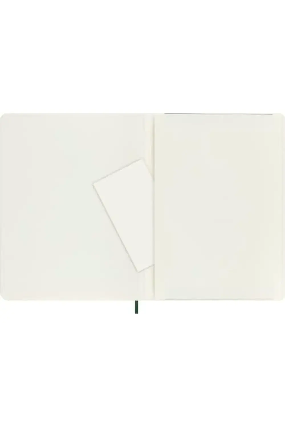 newpolyx Çizgisiz Mersin Yeşili Defter XL Boy Yumuşak Kapak goldg