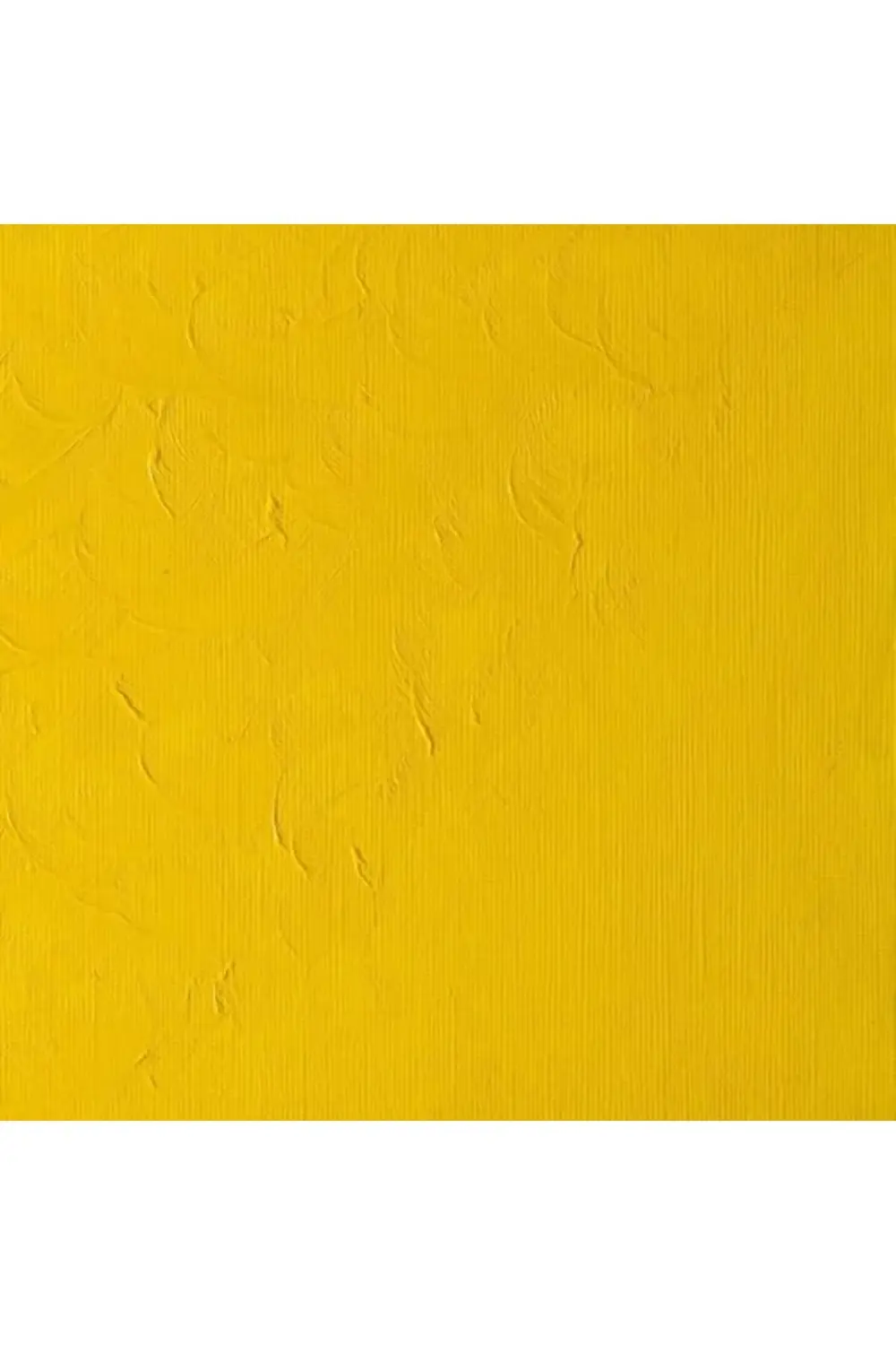 newpolyx & Newton WINTON 37ML.119 (8) CAD YELLOW PALE goldglint 3