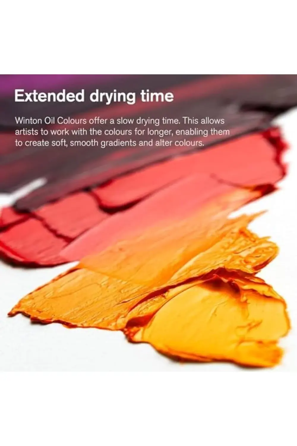 newpolyx &Newton Winton Yağlı Boya, 37ml, Ivory 331 (24) goldglin