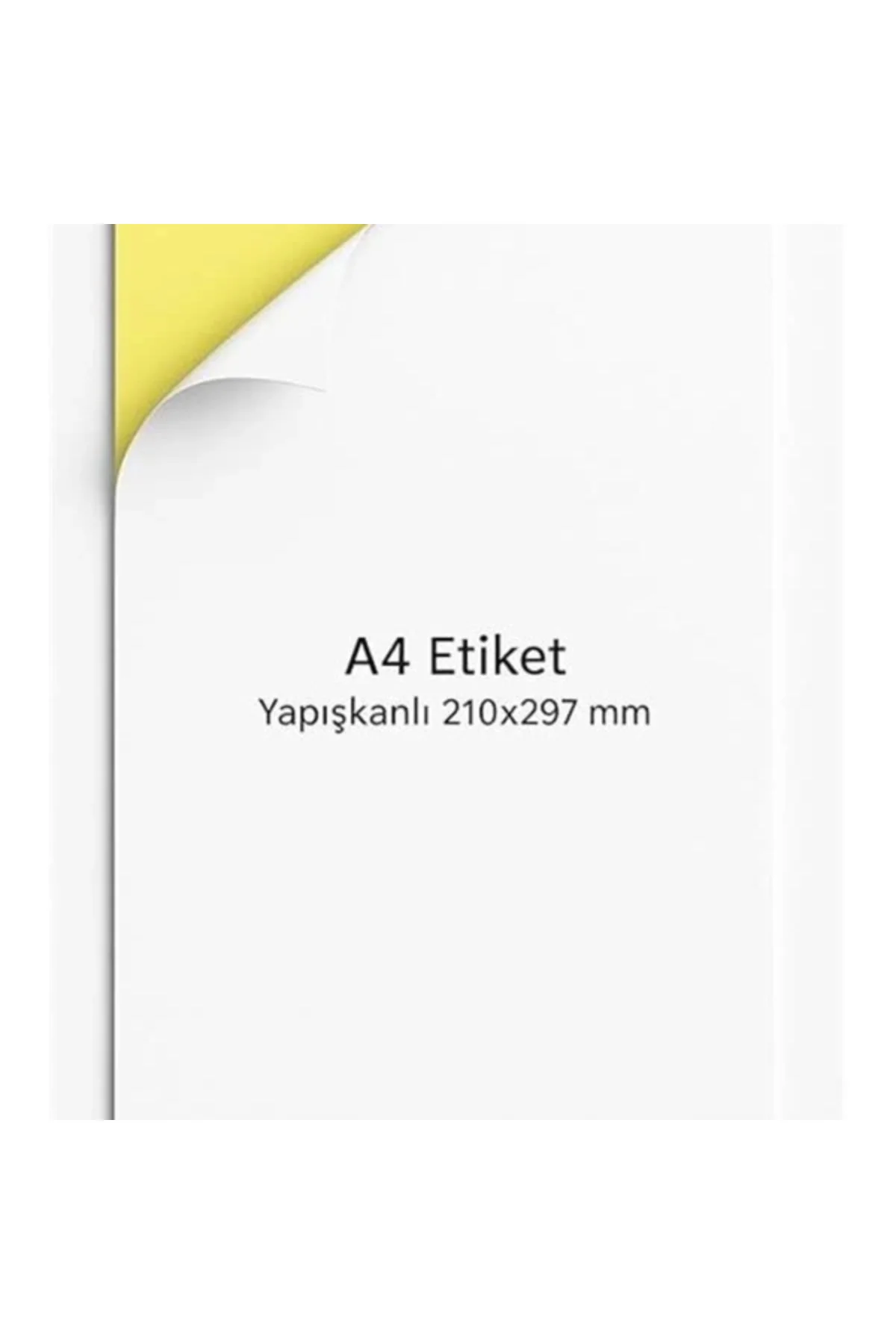 nexup label A4 Etiket Yapışkanlı | 20 Sayfa Adres etiketi 210x297 mm Çok amaçlı Universal