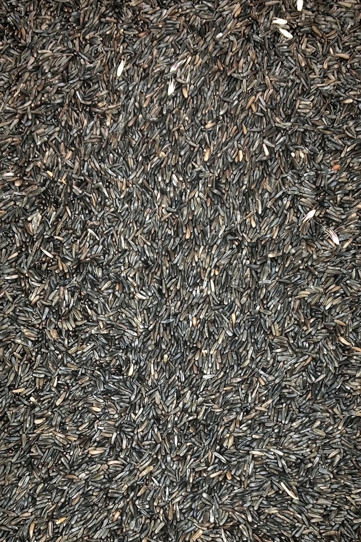 Just Cheap Store Nijer Tohumu Doğal Taze Takviye Kuş Yemi - 5 Kg