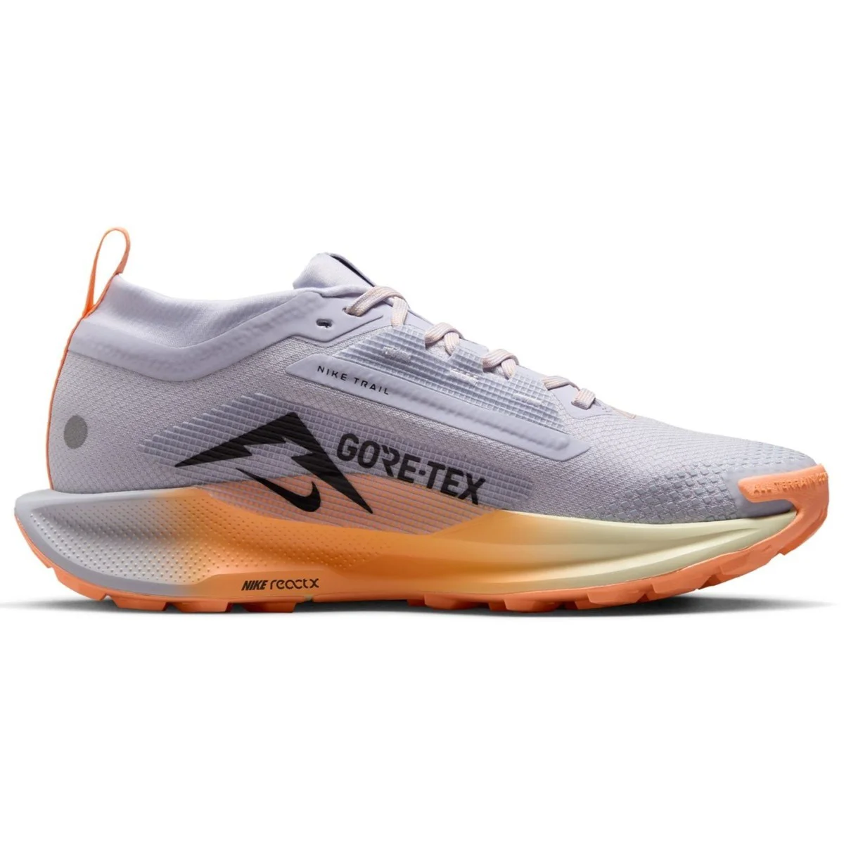 Nike Pegasus Trail 5 Goretex Womens Running Shoes Su Geçirmez Reflektörlü Kadın Doğa Yürüyüş Koşu Ayakkabısı Lila Nike Pegasus Trail 5 Goretex Womens Running Shoes Su Geçirmez Reflektörlü Kadın Doğa Yürüyüş Koşu Ayakkabısı Lila Fiyatı, Yorumları ve Özellikleri