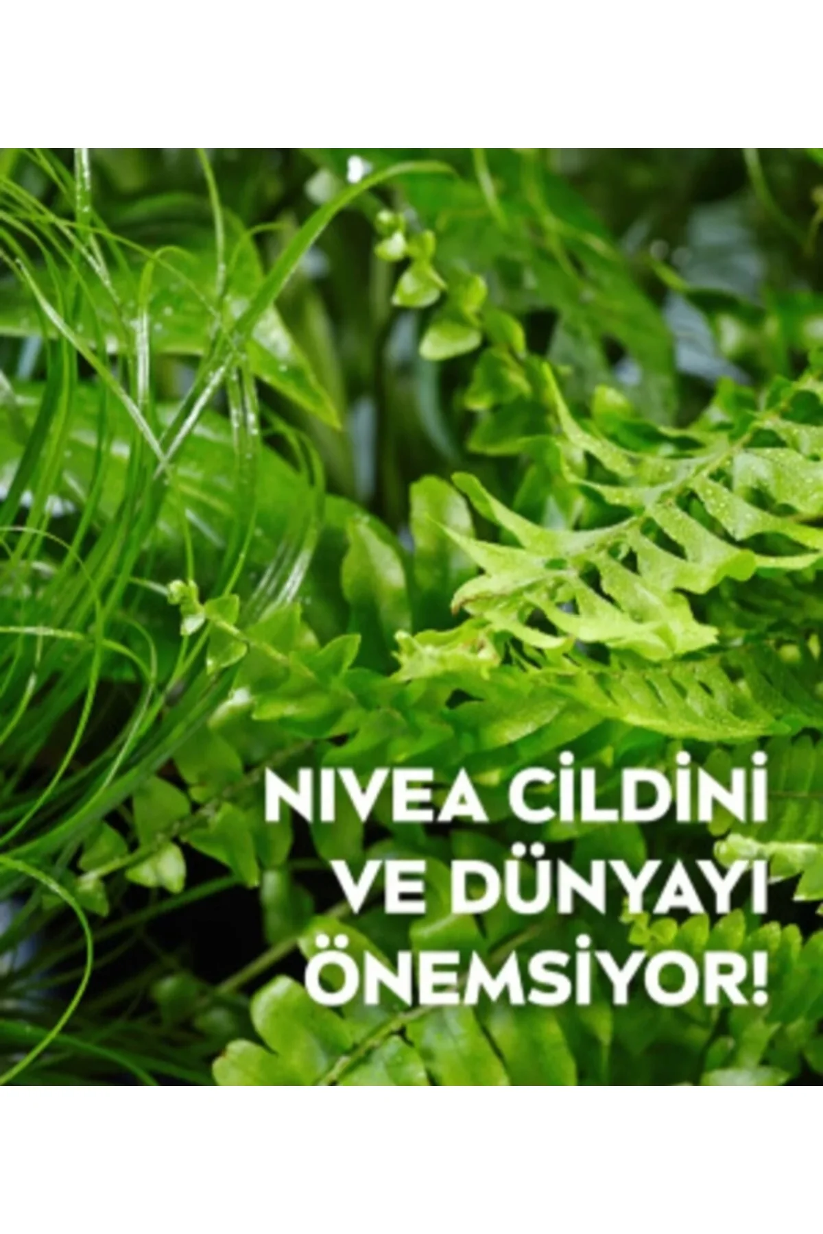 NIVEACanlandırıcı Makyaj Temizleme Mendilleri, Normal ve Karma Ciltler, 25 Adet NIVEACanlandırıcı Makyaj Temizleme Mendilleri, Normal ve Karma Ciltler, 25 Adet