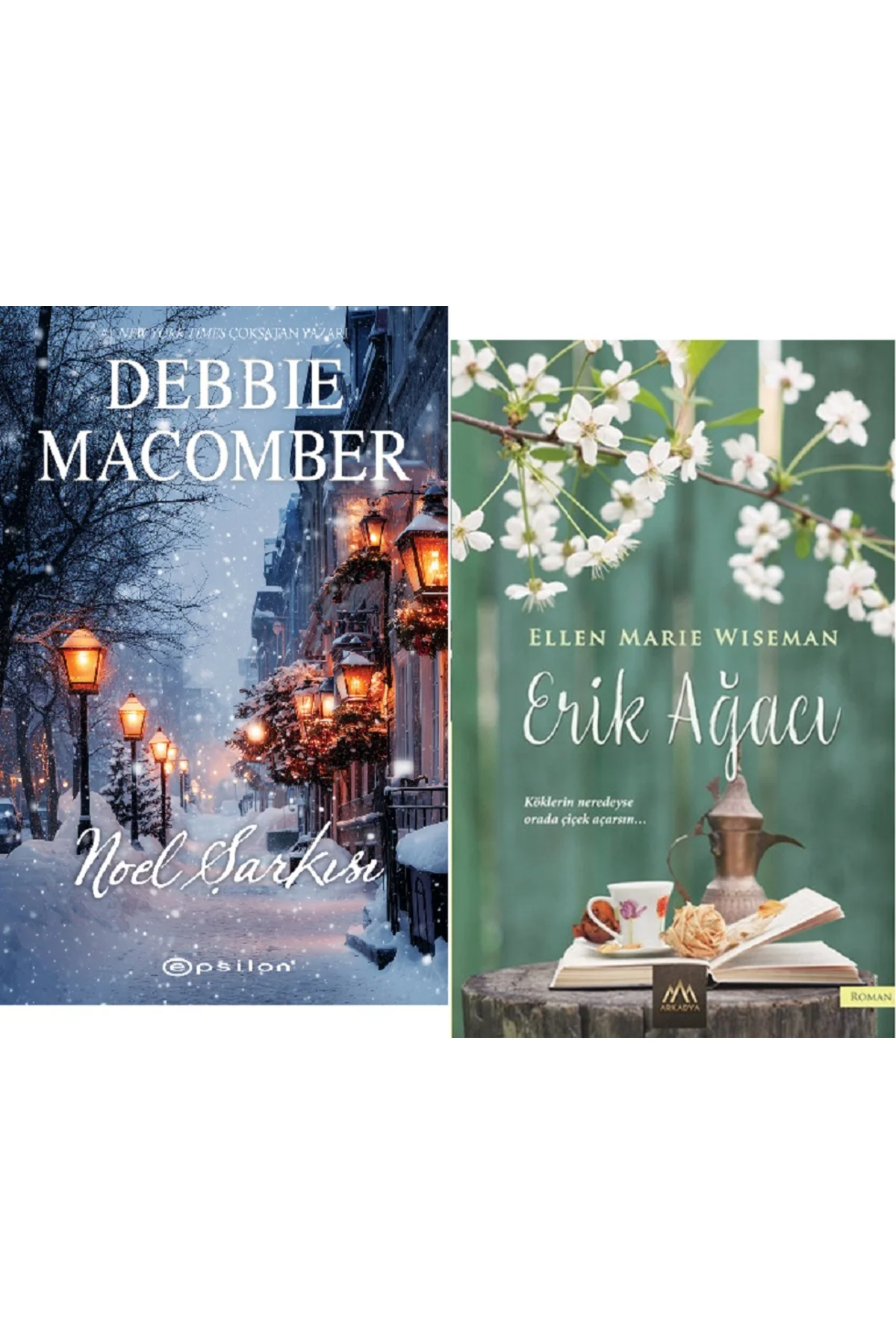 Noel Şarkısı + Erik Ağacı / 2 Kitap Set