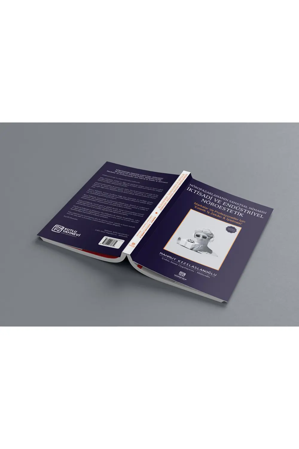 Nöropazarlamanın Sanatsal Mimarisi İktisadi ve Endüstriyel Nöroes