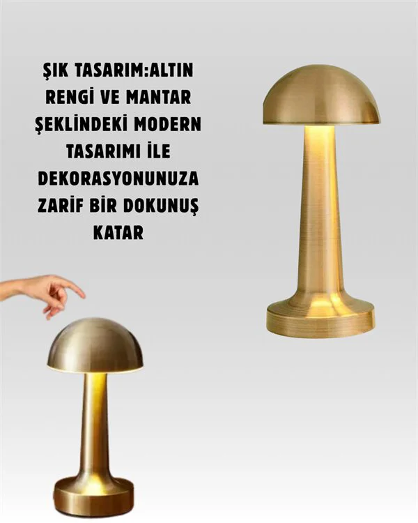 %100 Kademeli Ayarlanabilir USB Şarjlı LED Masa Lambası