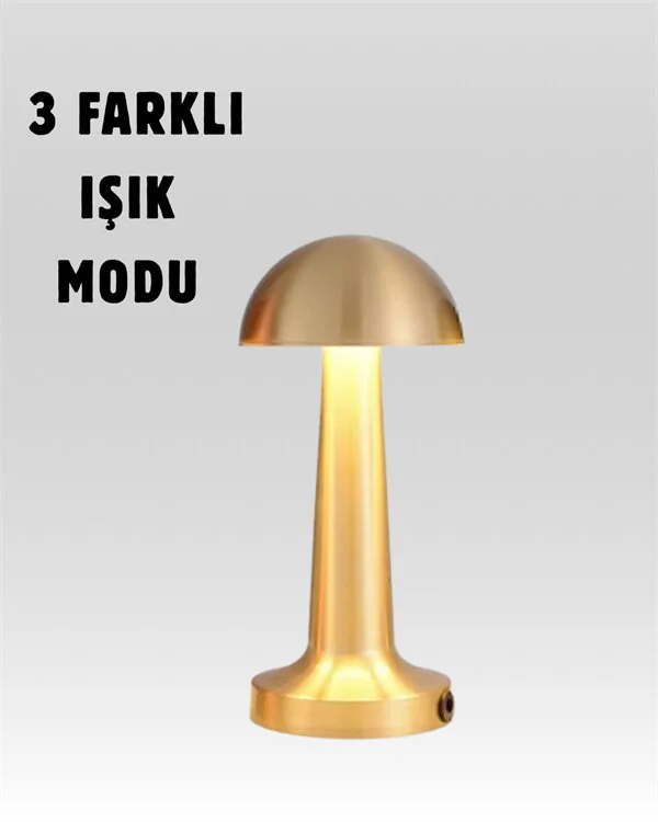 %100 Kademeli Ayarlanabilir USB Şarjlı LED Masa Lambası