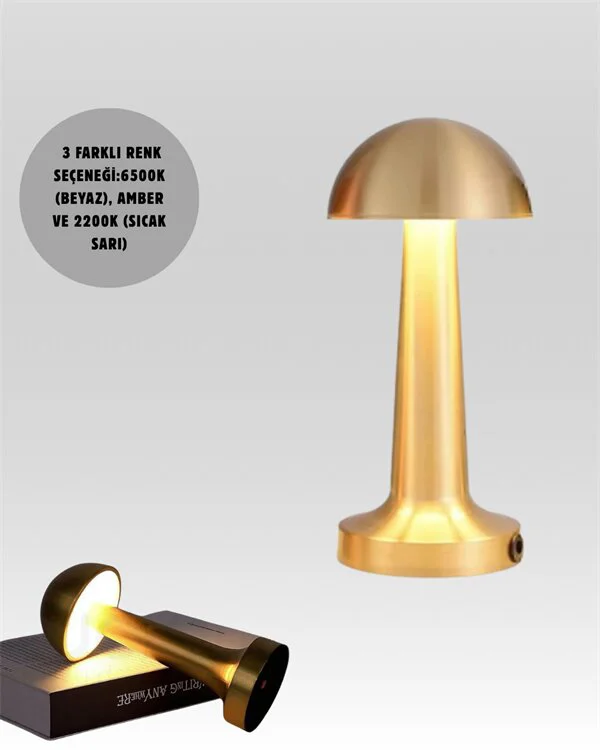 %100 Kademeli Ayarlanabilir USB Şarjlı LED Masa Lambası