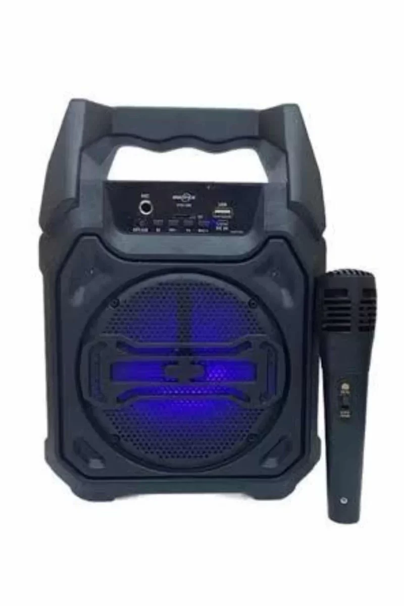 10W Güçlü Ses Performanslı Bluetooth Karaoke Hoparlörü - Kablosuz ve Uzun Süreli Etkinlikler İçin