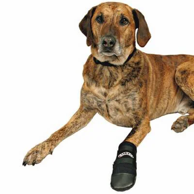 Northcity 2'li Neopren Köpek Yatağı Siyah XXXL - Nem ve Suya Dayanıklı Yüksek Kalite