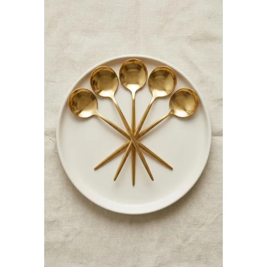Northcity 6'lı Lüks Gold Paslanmaz Çelik Tatlı Kaşığı Seti (16 cm