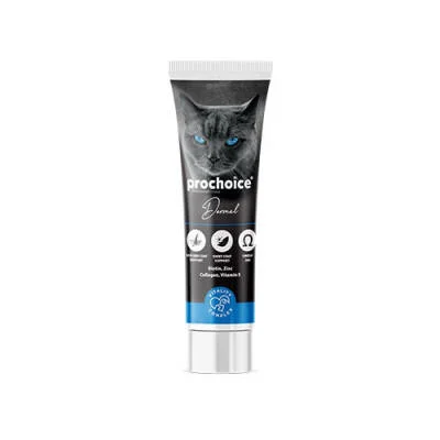 Northcity Biotinli Kedi Pastesi 100 Ml - Tüy Sağlığı ve Deri Doygunluğu İçin Mükemmel Destek