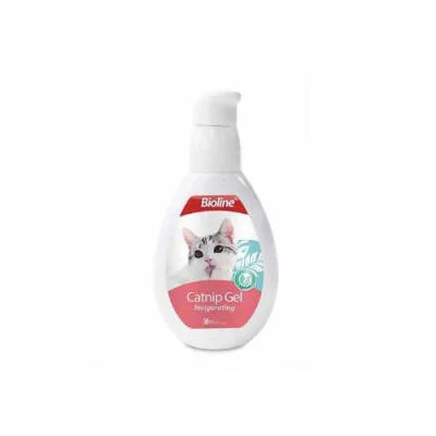 Northcity Catnip Kedi Jeli 50ml - Doğal Canlılık İçin Mükemmel Çözüm