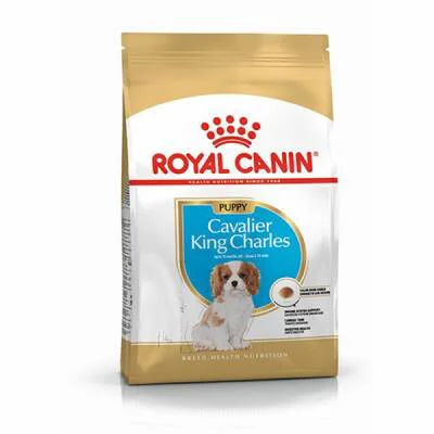 Northcity Cavalier King Charles Yavru Köpek Maması 1,5 Kg - Büyüme İçin Özel Formül