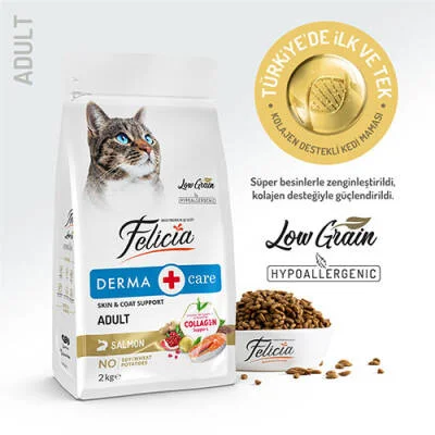 Northcity Hypoallergenic Somonlu Düşük Tahıllı Yetişkin Kedi Maması 2 Kg - Bağışıklık Desteği ve Daha Uzun Yaşam