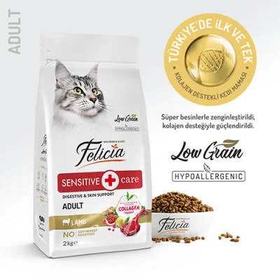 Northcity Hypoallergenic Kuzulu Kedi Maması 2 Kg - Düşük Tahıllı ve Hassas Mide İçin